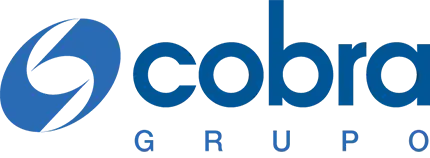 Grupo Cobra